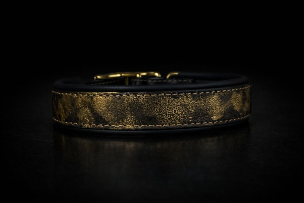 Coated Webbing Leder Halsband